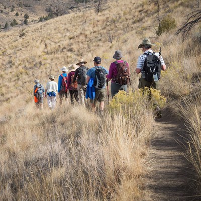 Prevent trail erosion and plant trampling by hiking single file. Photo: Randy Tomer.