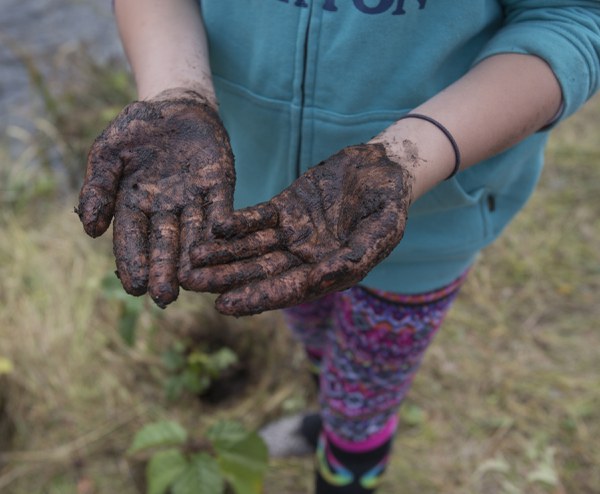 Land Trust volunteer gets hands dirty in nutrient rich soil for new trees. Photo: Jay Mather