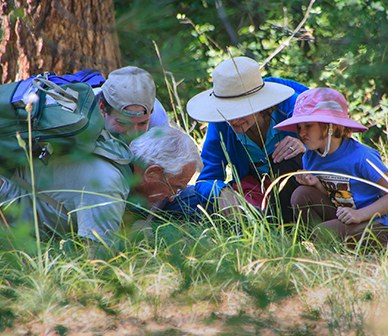 Group of explorers get up close to discover new things about nature. Photo: Sue Anderson.