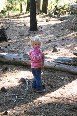 Exploring in the forest with binkie. Photo: Sarah Mowry.