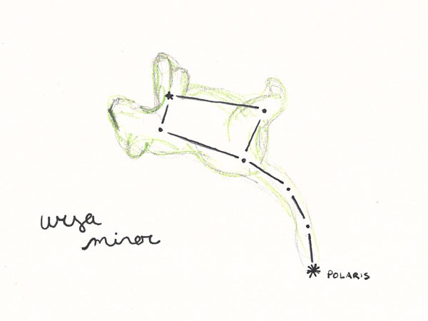 Illustration: Rebekah Ratcliff.
