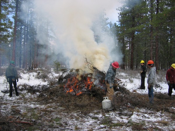 Crew works to burn restorative thinning at the Trout Creek Conservation Area. Photo: Land Trust.