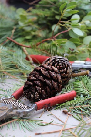 Gather your supplies and make your own wreath! Photo: Land Trust.
