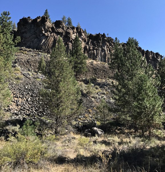 Basalt Columns formed at Aspen Hollow. Photo: Joan Amero