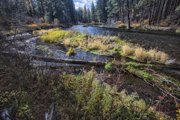 Metolius River in the Fall. Photo: Jay Mather