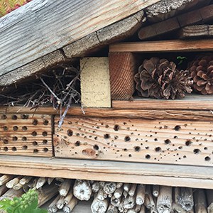 Drilled wood block bee homes within a pollinator hotel at Worthy Brewing. Photo: Land Trust.