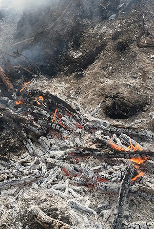 Make sure your campfire is dead out! Photo: Land Trust.