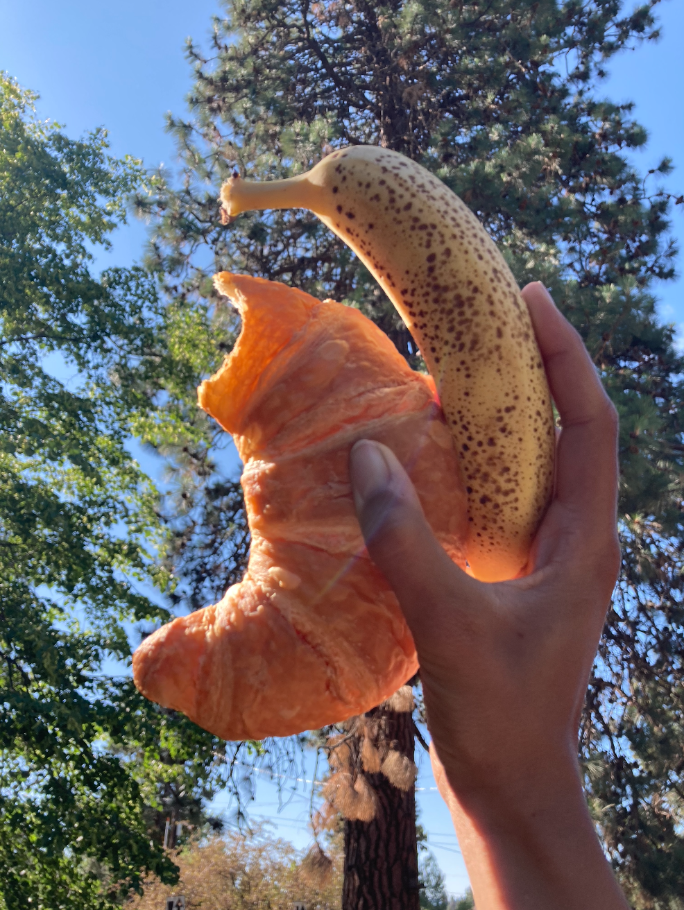 Whether you're eating bananas, bagels or beans the perfect picnic is only a snack away. Photo: Land Trust.