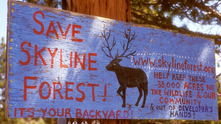 A hand-painted sign helps raise awareness about Skyline Forest. Photo: Bryon Dudley.