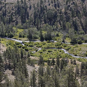 A view of multiple channels of Whychus Creek. Photo: Jay Mather.