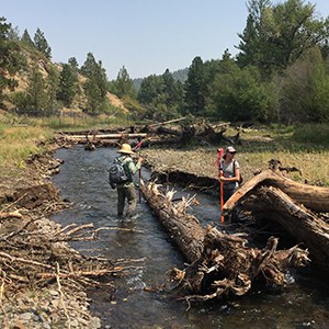 Data is collected next to some woody debris in the restoration area. Photo: Land Trust.