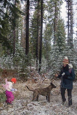 Prevent your dog from being mistaken for wildlife--keep them on-leash! Photo: Jay Mather.