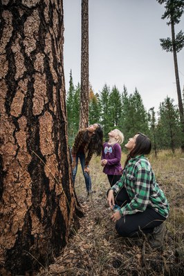 Mindfully entering the outdoors can help us observe even more than before. Photo: Caitlin Eddolls.