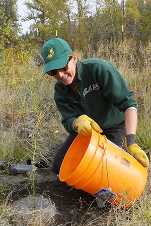 Don't forget to water your plants! Photo: Land Trust.