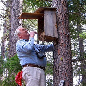 Jim Anderson checks a nest box at the Metolius Preserve. Photo: Alan St. John.