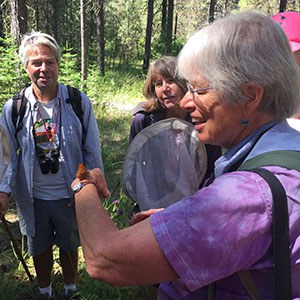 Sue Anderson leading a butterfly walk at the Metolius Preserve. Photo: Land Trust.