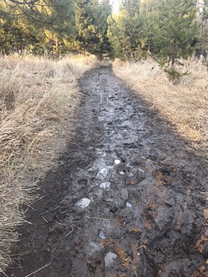 A wide muddy trail in Central Oregon. Photo: Land Trust.