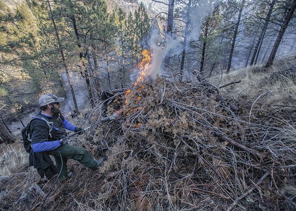 Lighting one of the burn piles. Photo: Jay Mather.