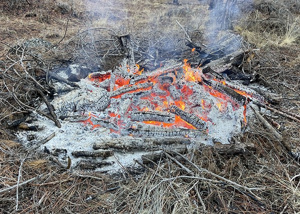 The center of the pile has burned faster, leaving large chunks on the outer ring of the fire. Photo: Land Trust.