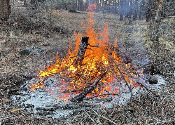 This burn pile has been "chunked," with material from the outer ring added into the center. Photo: Land Trust.