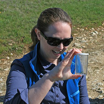 Tara identifies whether an Ohlone tiger beetle is a male or female. Photo: Lynn Overtree.