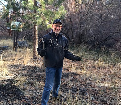 A volunteer helps by pulling weeds at Aspen Hollow Preserve. Photo: Land Trust.