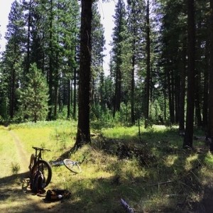 Bike through the quiet trails of the Metolius Preserve. Photo: Land Trust.