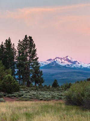 Indian Ford Meadow Preserve. Photo: Tyler Roemer.