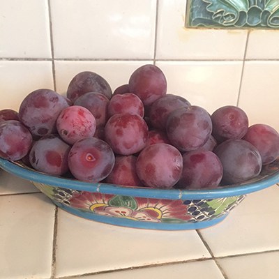 Don't forget about fruit in your climate victory garden! Plums grow well in Central Oregon. Photo: Land Trust.