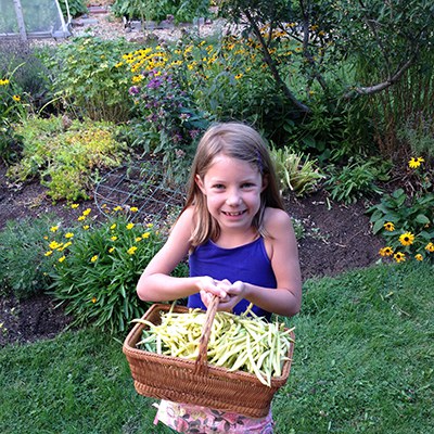 If you like green beans, grow some in your climate victory garden! Photo: Land Trust.