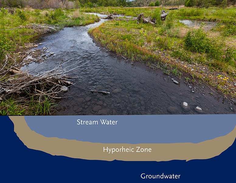 The hyporheic zone of Whychus Creek. Diagram: Land Trust (concept from Karen Jackson, Clemson University Cooperative Extension Service).