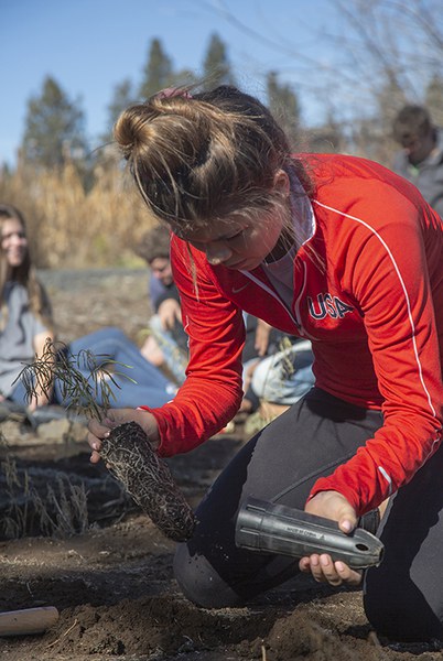 Planting in the fall can reduce stress on your plants. Photo: Jay Mather.