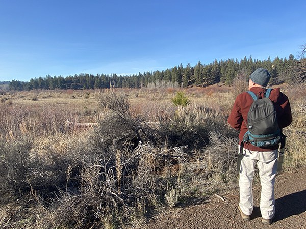 Martin Winch surveys Camp Polk Meadow Preserve. Photo: Maret Pajutee.