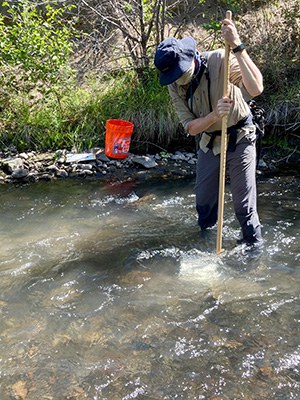 A volunteer helps survey macroinvertebrates on Whychus Creek. Photo: Land Trust.