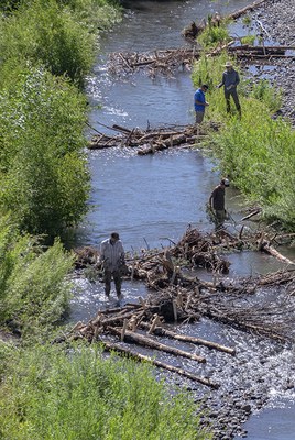 The restoration of Whychus Creek at Willow Springs Preserve. Photo: Rick Dingus.