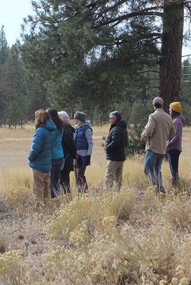 Land Trust Board and staff on a tour of Paulina Creek Preserve. Photo: Land Trust.