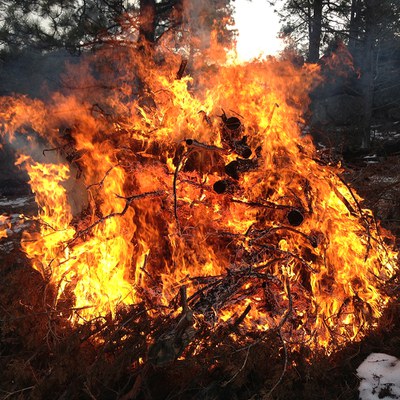 Always check weather conditions before burning your debris! Photo: Land Trust.