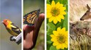 Nature-Bytes-Enews-Slider.jpg