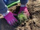LT.IFM_2023_10_13_Planting Work Party_IMG_0892_tv_2400px.jpg