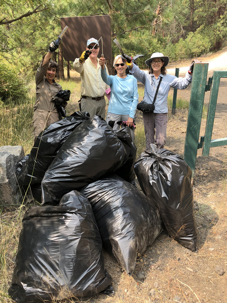 Weed warriors battle invasive plants at Aspen Hollow Preserve. Photo: Ginny Elliott.