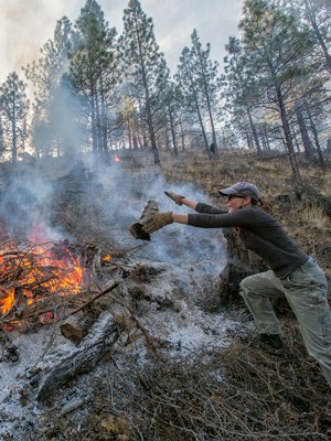 Stewardship director Amanda Egertson helps burn piles of thinned trees at Aspen Hollow Preserve. Photo: Jay Mather.