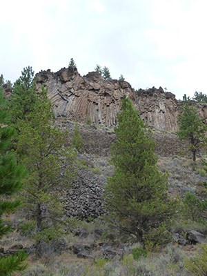 The cliffs at Aspen Hollow Preserve provide the perfect place for golden eagles to nest. Photo: Land Trust.