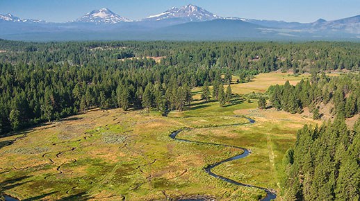 Camp Polk Meadow Preserve in 2013. Photo: Russ McMillan.