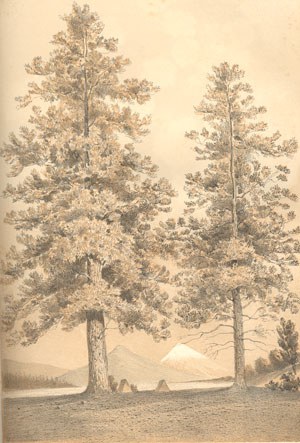 Black Butte and Mt. Jefferson c. 1855. Photo: Bowman Museum.