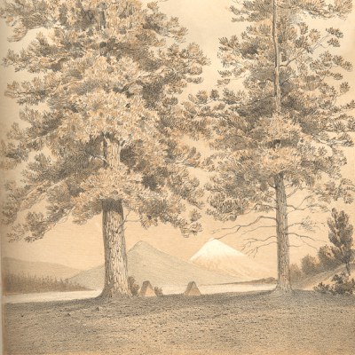 Black Butte and Mt. Jefferson c. 1855. Photo: Bowman Museum.