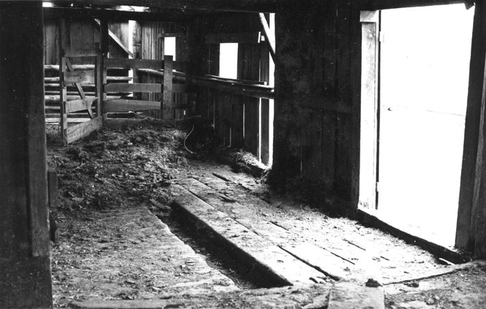 Wood flooring with a gutter in the middle suggests that cattle or dairy animals were fed and milked in this section of the barn. Photo: Ed Barnum.