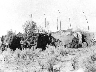 Sahaptin “fast camp” domed shelter or wickiup, made from willow and canvas during the season for gathering food, in “root country.” Photo: Bowman Museum.