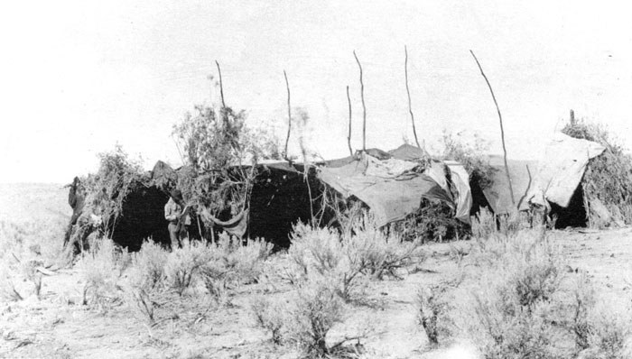 Sahaptin “fast camp” domed shelter or wickiup, made from willow and canvas during the season for gathering food, in “root country.” Brush piled against the sides shades the shelter in this exposed location. Photo: Bowman Museum.