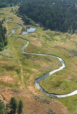 Whychus Creek meanders through the meadow. Photo: Russ McMillan.