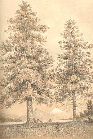Drawing of Indian Ford Meadow from the Abbot and Williamson journals of 1885. Courtesy of the Bowman Museum.